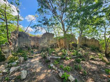 Vista de la Estructura 5, posible almac�n, desde el Sur.