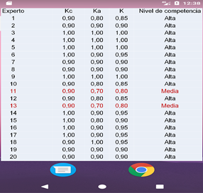 Ejemplo de interfaz de la aplicación móvil para determinar el coeficiente de conocimiento de los expertos.
