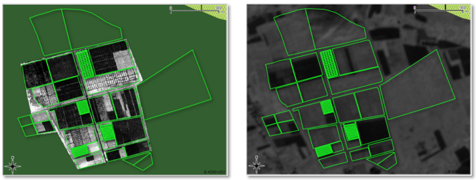 Imagen satelital del NDVI recolectadas por el VANT (izquierda) y recolectada por S2 (derecha)