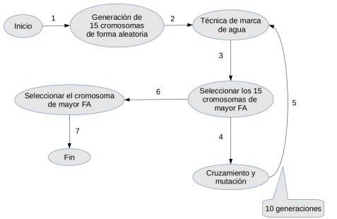 Algoritmo Gen&acute;etico propuesto.