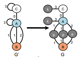 Example of the transformation of a multi-graph (G0) with three multi-edges and two loops into a simple graph (G)