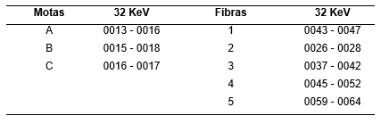 Cortes seleccionados para el estudio de las motas de cuarzo y las fibras de nailon.
