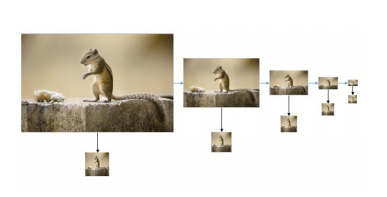 La figura muestra las diferentes im´agenes obtenidas al aplicar una pir´amide Gaussiana de reducci´on. De izquierda a derecha, la imagen base y los restantes 4 niveles. Debajo de cada nivel se puede observar la imagen normalizada en tama˜no. Se puede observar como el alimento y parte de la textura del bloque se pierde al aumentar los niveles, pero el animal es conservado (regi´on saliente).