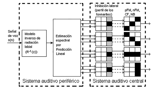 Modelo bio-inspirado del sistema auditivo.
