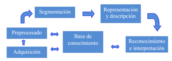 Etapas de procesamiento de imágenes.