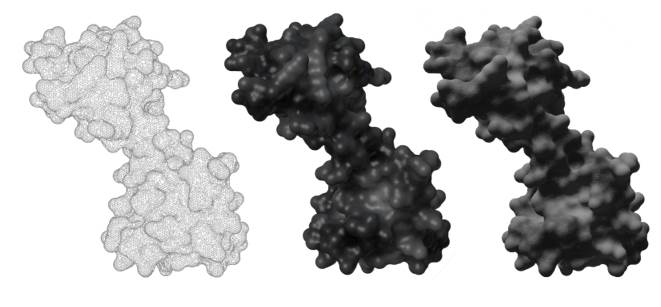 Proteína CaM. Malla → Visualización de MLP como niveles de gris (el blanco es muy hidrofóbico, el negro es muy hidrofílico) → Visualización de MLP.