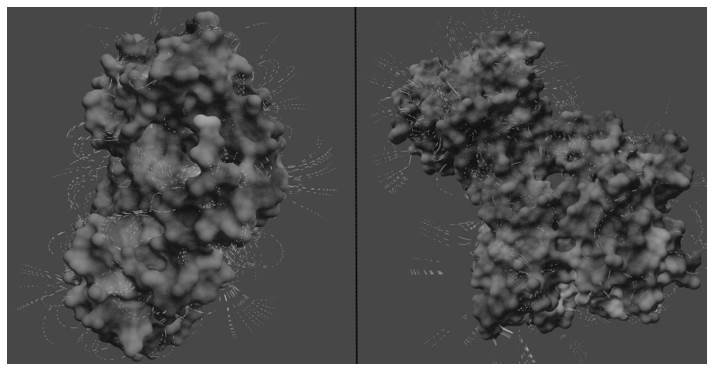 Representación de un solo fotograma de la animación. Lo que impide al ser una imagen fija, que las partículas transmitan la polaridad de las áreas cargadas de las moléculas.