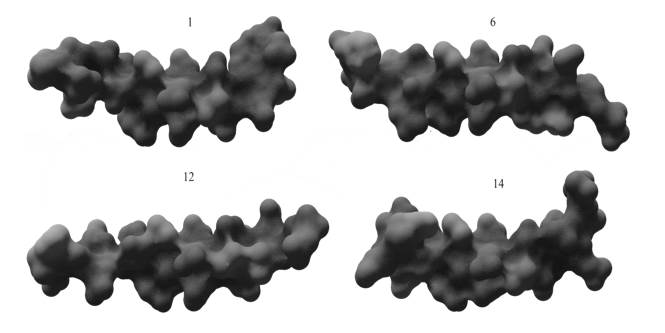 Conformaciones 1, 6, 12 y 14 de la Cromogranina A.