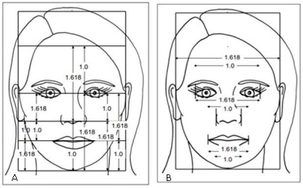 Proporciones &aacute;uricas en el an&aacute;lisis frontal vertical (A) y en el frontal transversal (B) seg&uacute;n Ricketts.