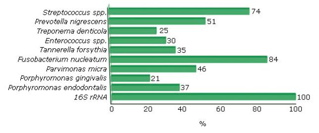 Porcentaje identificativo de microorganismos presentes en periodontitis apical.