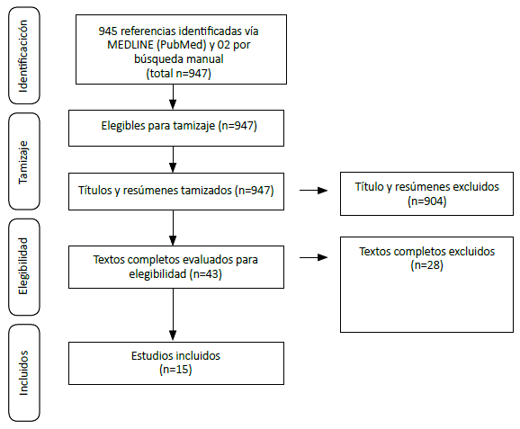 Diagrama de flujo PRISMA para la selección de estudios. Adaptado de: Moher D, Liberati A, Tetzlaff J, Altman DG, Group TP. Preferred Reporting Items for Systematic Reviews and Meta-Analyses: The PRISMA Statement. PLOS Medicine. 2009;6(7):e1000097. DOI: 10.1371/journal.pmed.1000097