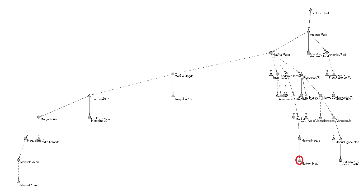 Grafo n&ordm; 2- esquema geneal&oacute;gico Ore del frente de parentesco Rodr&iacute;guez de
  Armas