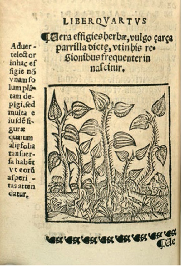 Opera Medicinalia, f. 573r. (Bravo, 1570).