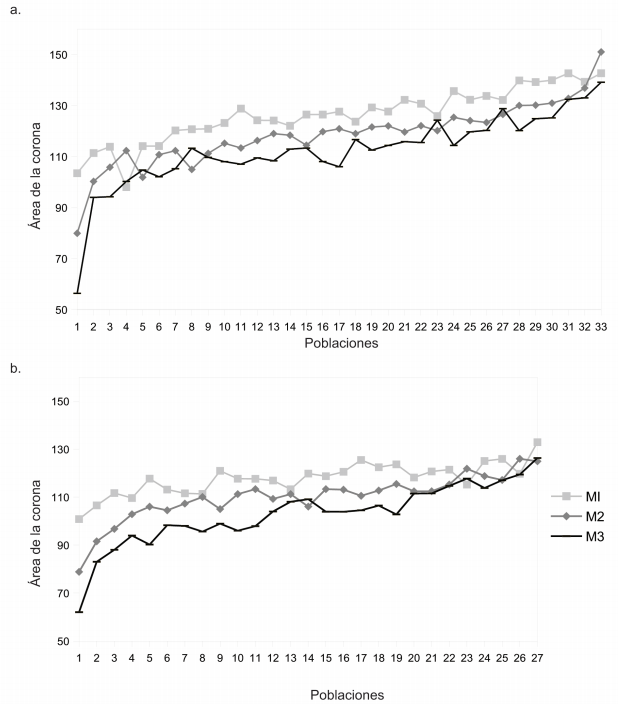&Aacute;rea (mm2
) de las coronas dentales en poblaciones humanas, individuos masculinos
(a) y femeninos (b). Los n&uacute;meros en el eje de las x corresponden a las
distintas poblaciones del mundo, las cuales est&aacute;n ordenadas en orden creciente
de tama&ntilde;o del &aacute;rea total (M1+M2+M3). Masculinos: Asia:1,
2, 5, 9, 11, 15, 16, 17, 20, 24; &Aacute;frica:4, 6, 7, 12, 18, 29; Europa:3, 10, 23;
Ocean&iacute;a:8, 22, 28, 30; Norteam&eacute;rica:13, 14, 19, 25, 26, 27; Sudam&eacute;rica:21;
Australia:31, 32, 33. Femeninos: Asia:1, 2, 9, 10, 11,
13, 14, 15; &Aacute;frica:4, 5, 6, 7, 8, 20, 22, 24; Europa:3, 12; Ocean&iacute;a:18;
Norteam&eacute;rica:16, 19, 21, 23, 25; Sudam&eacute;rica:17; Australia:26, 27