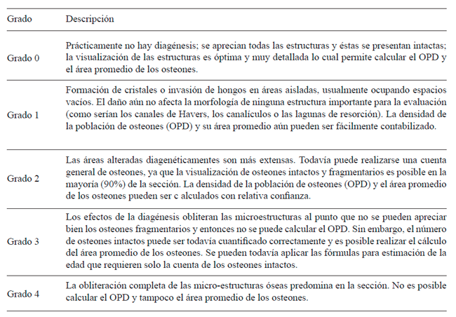Escala de diag&eacute;nesis evaluada en secciones delgadas (Streeter 2005)