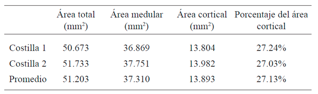 Resultado de medici&oacute;n de &aacute;reas de las muestras de la Tumba 1 de Chiapa de Corzo, M&eacute;xico