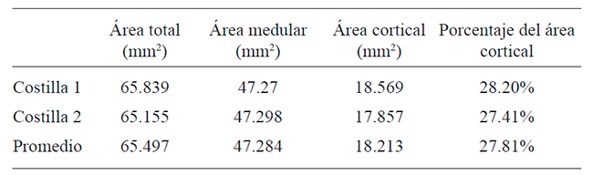 Resultado de medici&oacute;n de las &aacute;reas de las muestras del Entierro XVIIIA T. 3 (44). Palenque, M&eacute;xico