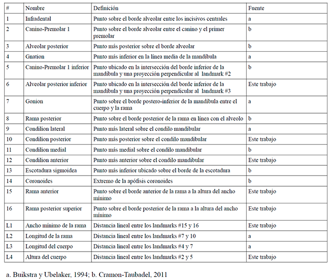 Definici&oacute;n de las coordenadas de landmarks registradas en la mand&iacute;bula 