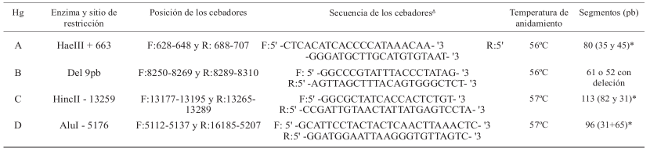Sitios de corte, enzima de restricci&oacute;n y posici&oacute;n de los cebadores para la identificaci&oacute;n de cada Hg por RFLP