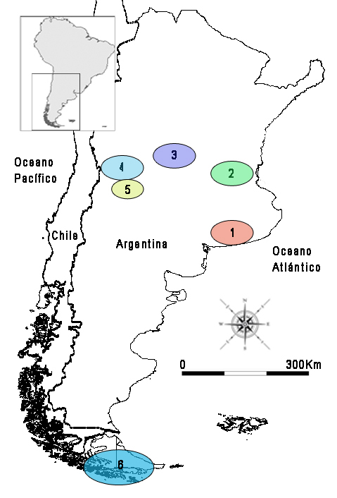Localizaci&oacute;n de las regiones de Argentina de donde provienen los restos humanos en los que se estudiaron cambios ent&eacute;sicos