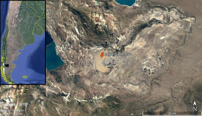 Ubicación geográfica del área de estudio. Lago Salitroso, Santa Cruz, Argentina