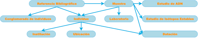 Entidades principales que componen la base de datos y la relaci&oacute;n entre ellas.