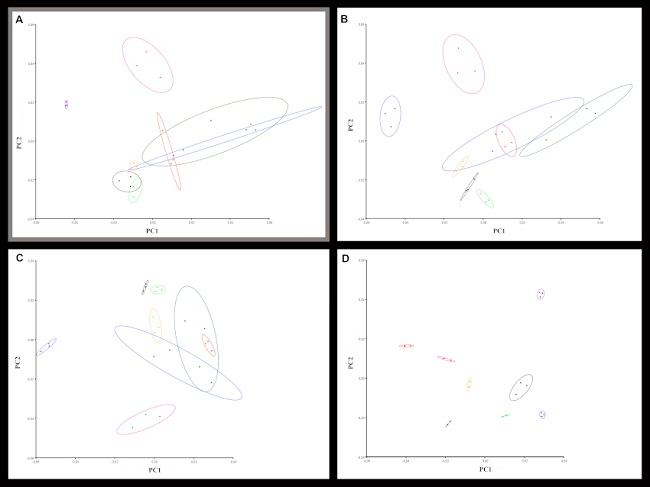 Diagrama de dispersi&oacute;n CP1 vs. CP2, con los 8 individuos analizados: Las Mand&iacute;bulas 1 -rojo-, E 12-13 -naranja-, C 15 -verde oscuro-, D 14 -verde claro-, C14 (2) -negro, DC 9-10 (1) -azul-, E 10-11 (2) -morado- y San Juli&aacute;n -rosa-. A) error interm&eacute;todo, en gris; B) error intraobservador TC; C) error intraobservador esc&aacute;ner; D) error intraobservador fotogrametr&iacute;a.