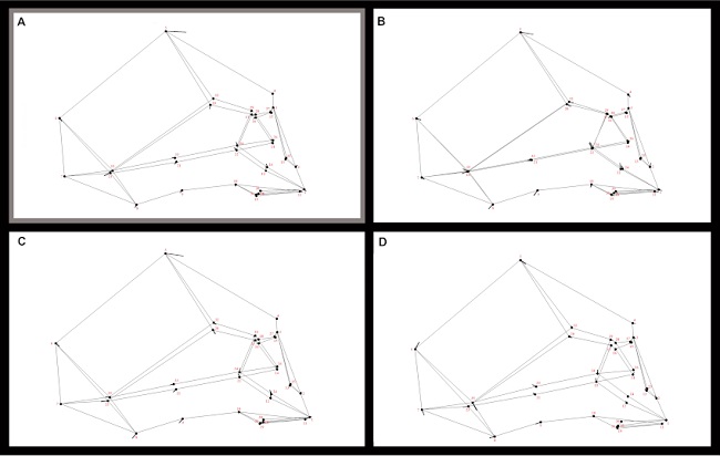 Diagrama lollipop y wireframe, forma negativa con un factor de escala 0,05. A) error interm&eacute;todo, en gris; B) error intraobservador TC; C) error intraobservador esc&aacute;ner; D) error intraobservador fotogrametr&iacute;a.