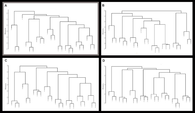 UPGMA con los individuos: La Mand&iacute;bulas 1 -1-, E 12-13 -2-, C 15 -3-, D 14 -4-, C14 (2) -5-, DC 9-10 (1) -6-, E 10-11 (2) -7- y San Juli&aacute;n -8-. A) error interm&eacute;todo, en gris; B) error intraobservador TC; C) error intraobservador esc&aacute;ner; D) error intraobservador fotogrametr&iacute;a.