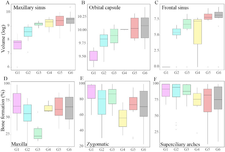 Boxplots of the volume of capsules (A, B, C), and proportion of formation for the maxilla (D), malar (E), and glabella (F). The references for age groups are in Fig. 2 and Table 1. 