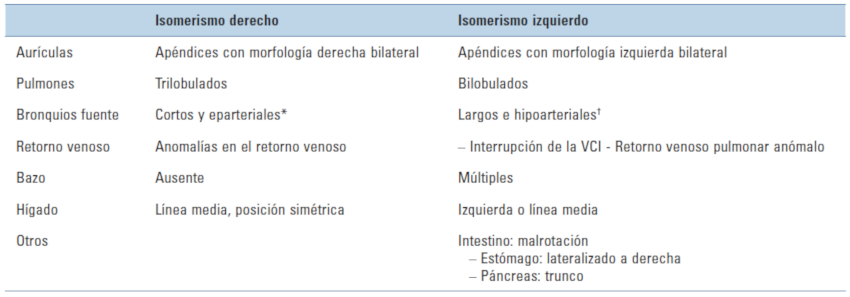 Relación víscero‑aurícula