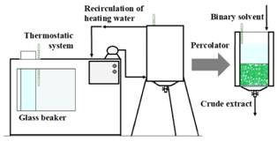 Schematic representation of the lab-scale percolator.