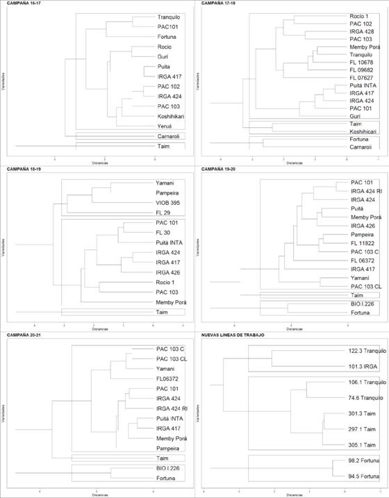 Cluster analysis of the rice samples analyzed corresponding to the 2016-17 -2020-21 campaigns and the new lines of work.