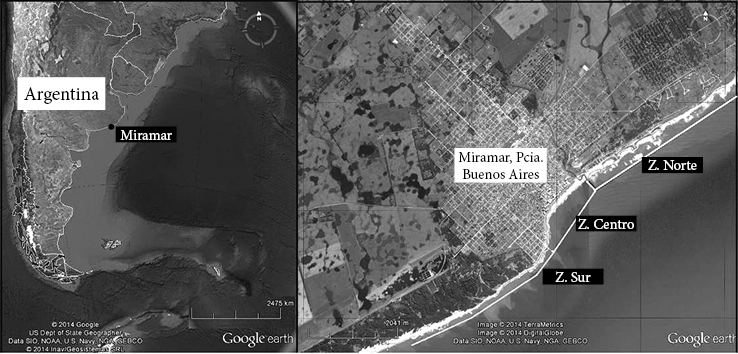 &Aacute;rea de estudio