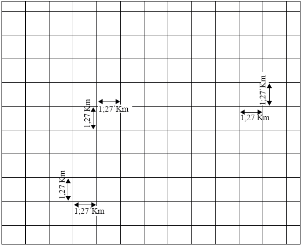Malla cuadricular para espacializaci&oacute;n
de las encuestas.