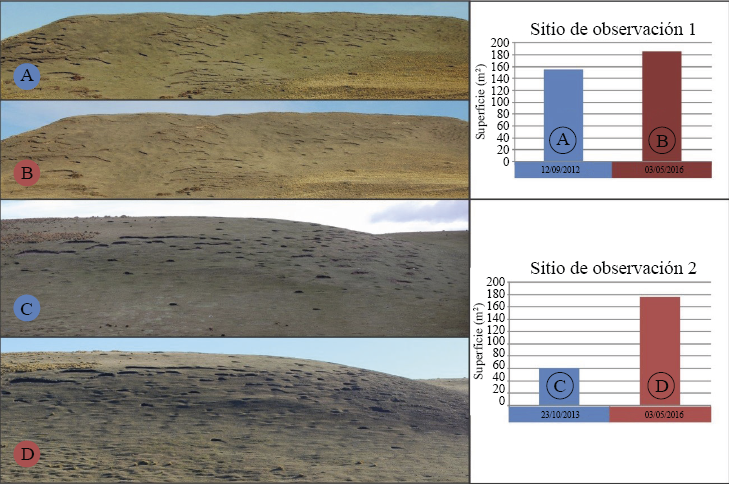 A) SO 1 Fotograf&iacute;a tomada por Quiroga el 12/09/2012; B) SO 1 Fotograf&iacute;a tomada por Quiroga el 03/05/2016; C) SO2 Fotograf&iacute;a tomada por Quiroga el 23/10/2013; D) SO 2 Fotograf&iacute;a tomada por Quiroga el 03/05/2016.