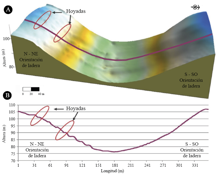 A). Modelo digital de elevaciones creado en base a puntos obtenidos por GPS de medici&oacute;n diferencial; B) Perfil transversal del modelo digital del terreno.