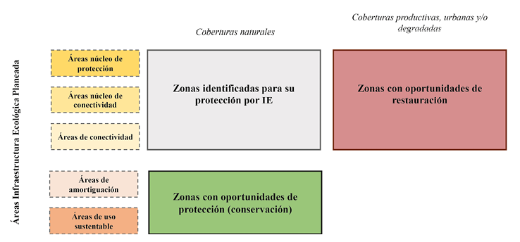 Propuesta de nuevas zonas con oportunidades de restauración y conservación que no han sido consideradas en el diseño de la infraestructura ecológica planeada.