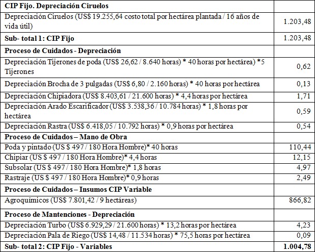 Estructura de Costos Indirectos de
Producci&oacute;n
							*