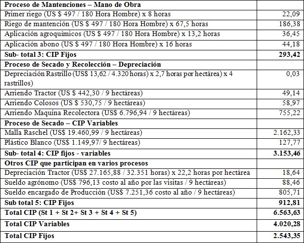 Estructura de Costos Indirectos de
Producci&oacute;n
							*