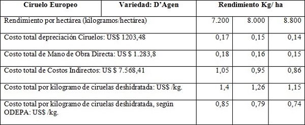 Estructura de costo unitario de producci&oacute;n del kilo de Ciruela Deshidratada