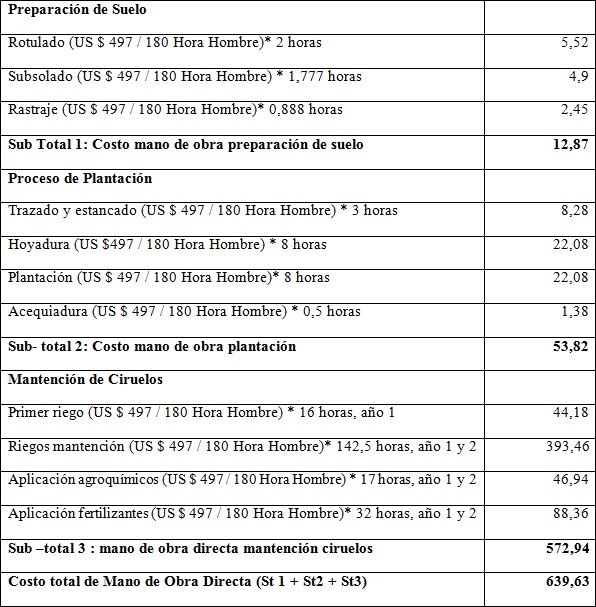Estructura de costo de mano de obra
directa de la hect&aacute;rea de ciruelos
							*