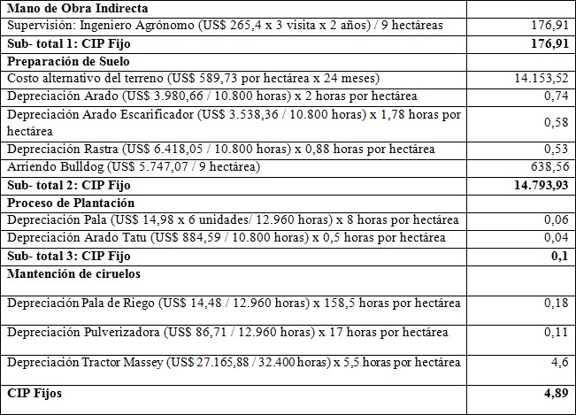 Estructura de Costos Indirectos de
Producci&oacute;n (CIP) de la hect&aacute;rea de Ciruelos
							*