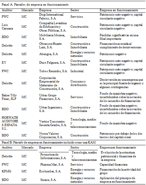 Empresa en funcionamiento en el informe ampliado del auditor externo