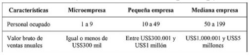 Clasificación y características de empresas pymes