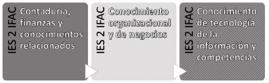 Contenidos curriculares m&iacute;nimos exigidos por IFAC.