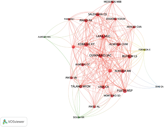 Author bibliographic coupling network.