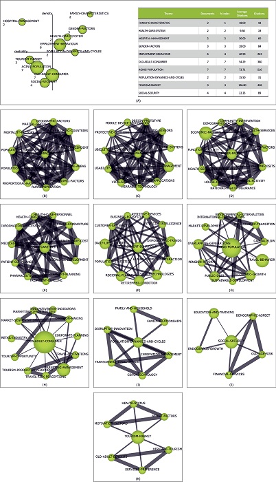 Strategic map of Silver Economy from 2000 to 2009 and conceptual networks.