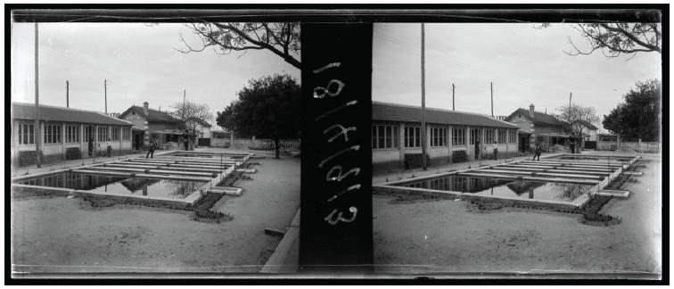 Aqu&aacute;rio Vasco da Gama em 1913. Tanques de cultura de peixes de &aacute;gua doce
