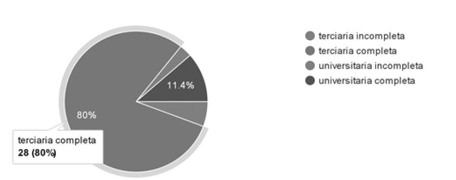 Tipos de formaci�n de los cursantes de la Especializaci�n